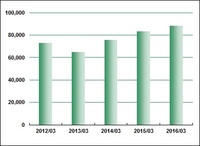 Net Sales
