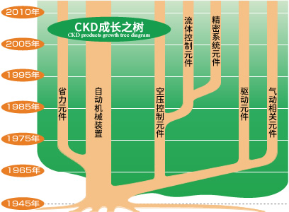 CKD成长之树
